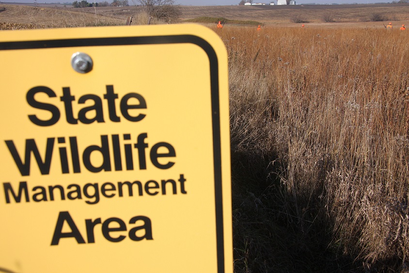 State Wildlife Management Areas are prized by upland conservationists for their permanently conserved habitat and public access.