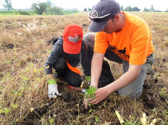 Quail Forever and Pheasants Forever chapters host community events to educate youth and their families about the value of pollinators to humans and quail through interactive upland habitat projects. Quail Forever and Pheasants Forever chapters host community events to educate youth and their families about the value of pollinators to humans and pheasants through interactive upland habitat projects.