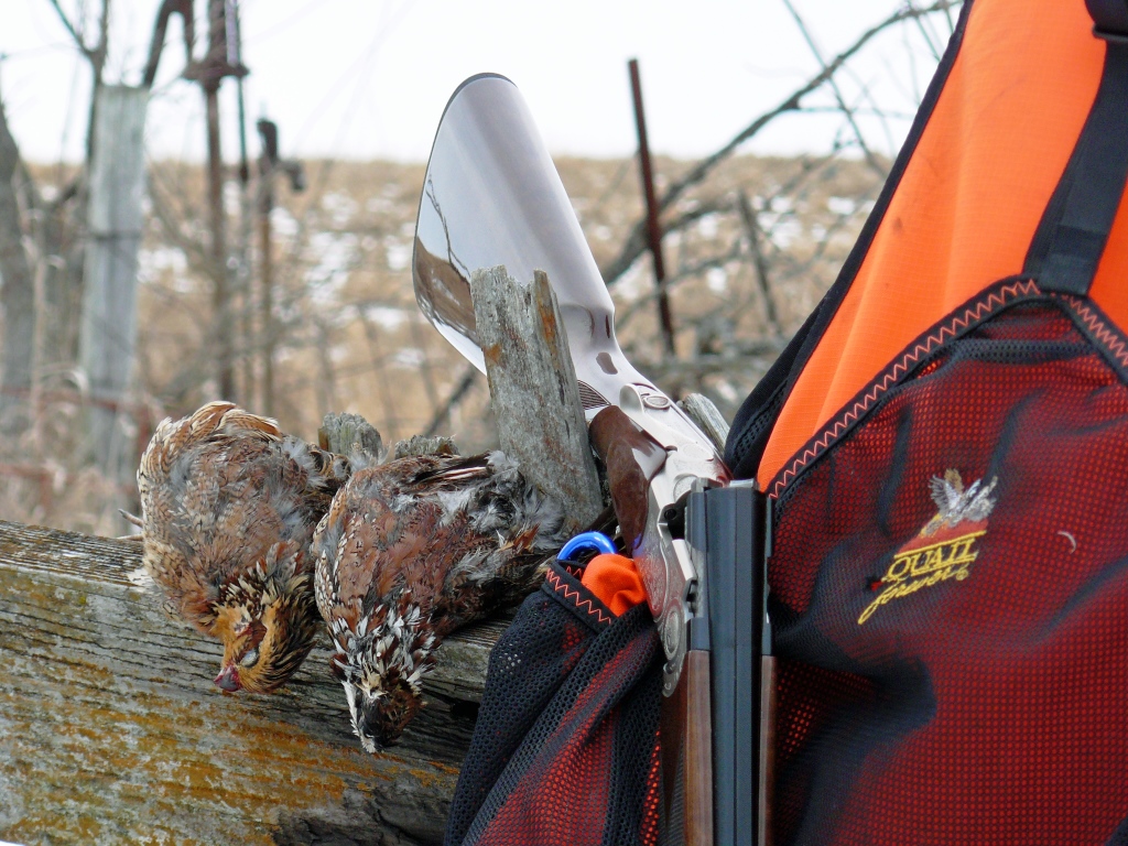 Upland hunters support Quail Forever because they know quality upland habitat is needed for the continued pursuit of their passion.