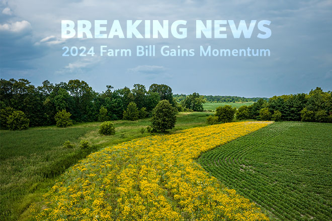 000b04ca-aad7-46c5-952c-65eef9fc9d10