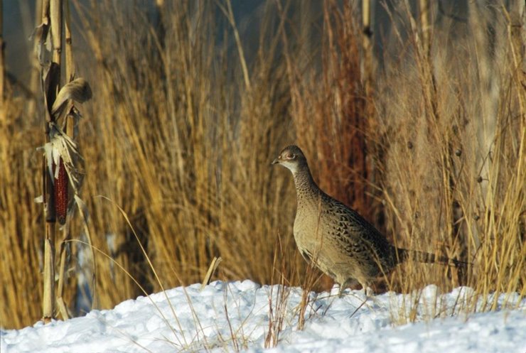 00a5a329-3f3d-4e52-b23d-f93bd19c67d8