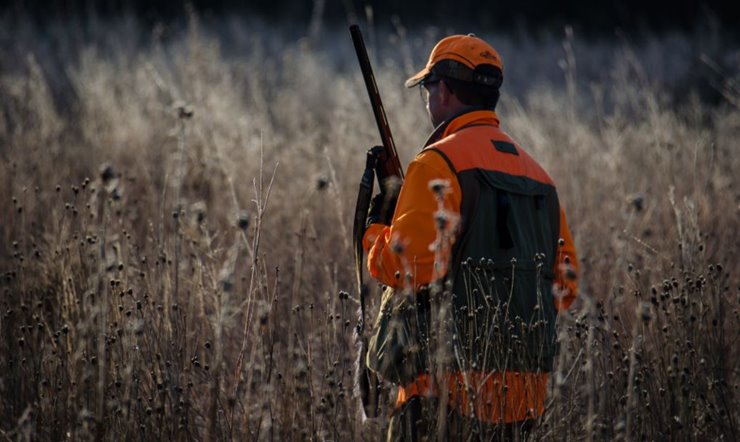 05b50960-7d33-4d4f-b735-52597e33e58c