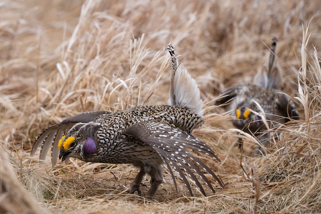 06e0b3db-0dce-4bcf-a4cc-45b0ee1ef2a4