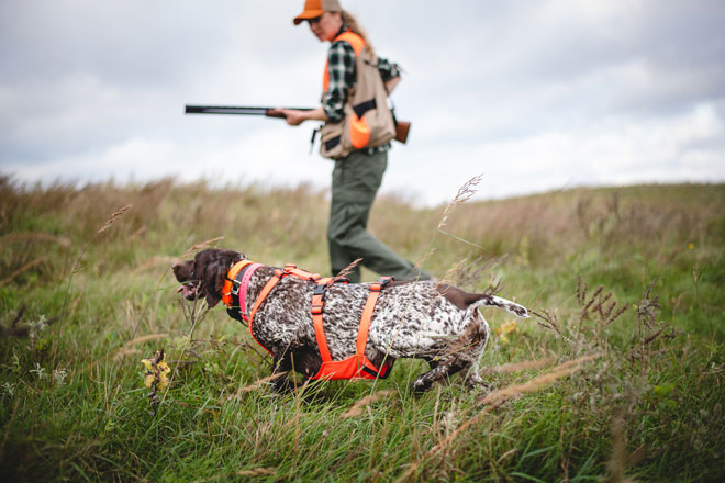 What hunters should know about the 2023 pheasant and quail hunts - The  Times-Independent