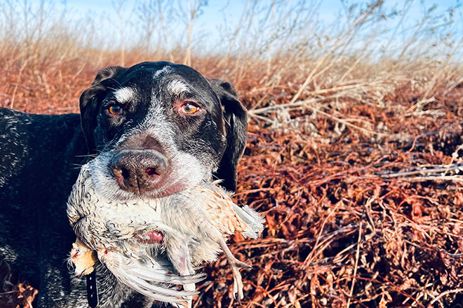 07cb7273-79e6-4bea-ae47-e6633a4b1928