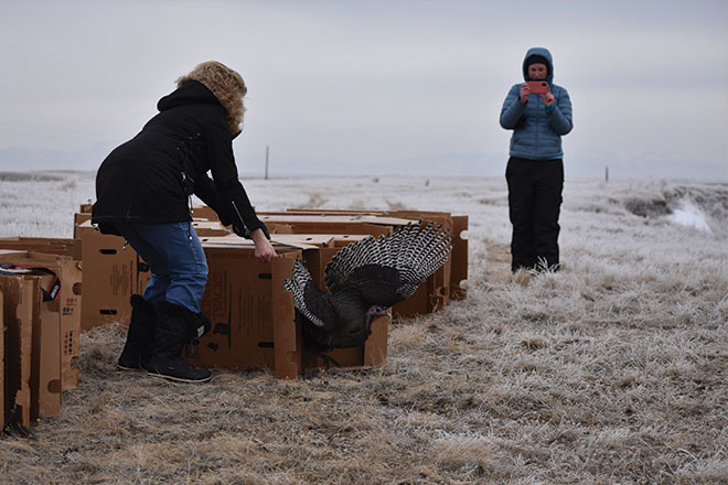 0accf5db-b423-47d5-b5da-b5adbf92e9f2