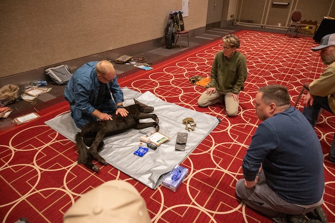 Bird-Dog-Field-Care-Returns-to-Pheasant-Fest.aspx