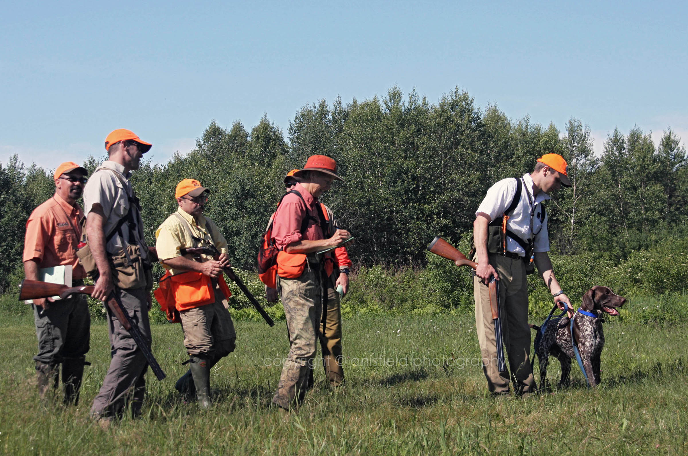 How Akc Field Trials Retriever Works