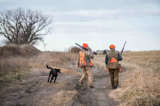 104722f3-7d58-42a3-9e16-281886cecf9a