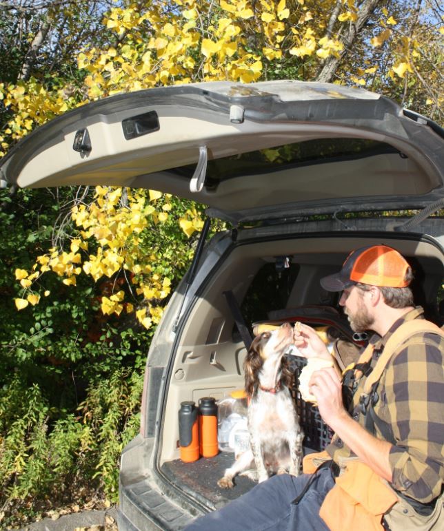 A little snack, even part of your sandwich, won't hurt your dog during the midst of a hunting day. But limit her intake. A little snack, even part of your sandwich, won't hurt your dog during the midst of a hunting day. But limit her intake.