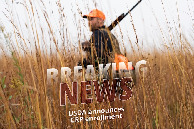 13c50574-100a-4b68-912a-410c4dd26bba