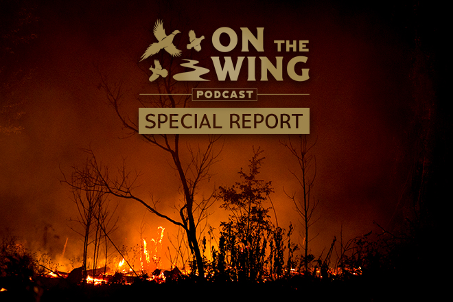 Podcast-Ep-255-SPECIAL-REPORT-on-Wildfires-in-Texa.aspx