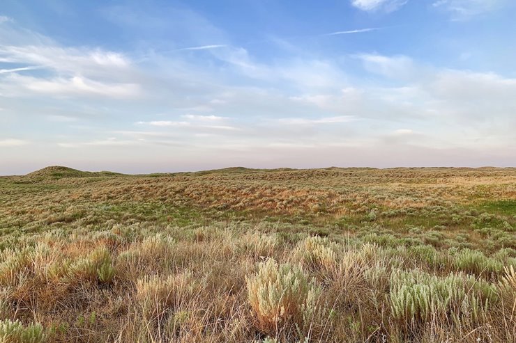 17cae718-cf9f-4261-9a65-84560353a950