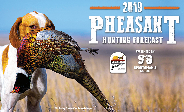 Pheasants Forever – Women on the Wing