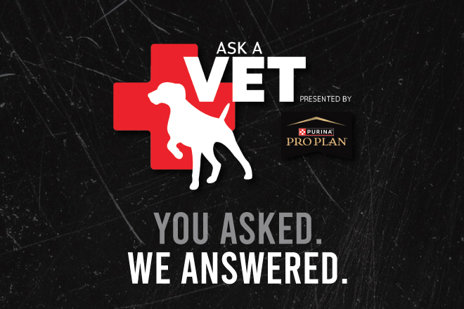 Ask-a-Vet-Ep-2.aspx