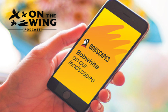 194ec395-24e7-4508-850e-fc20f44072a9