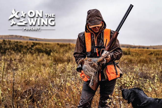 1fe7a60d-7326-45a0-8d38-dc6fccb4e4bc