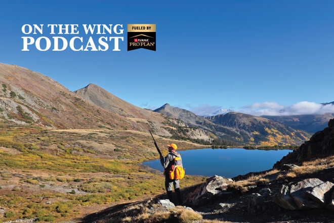 1ff35a6d-4b13-4658-8eea-20eb8e55e363