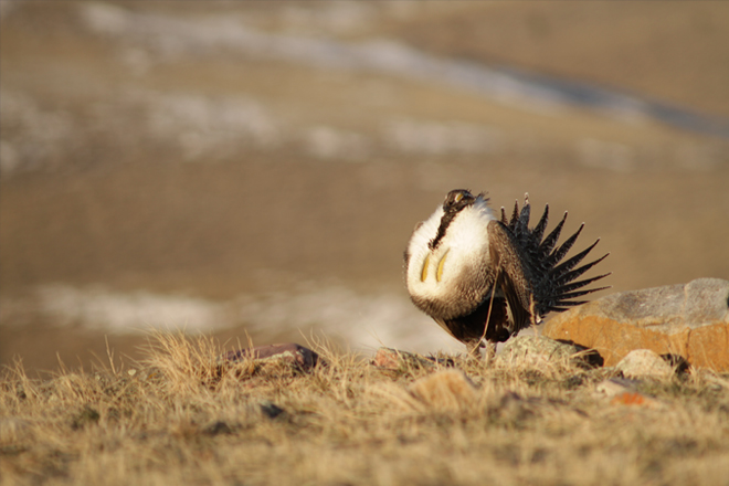 251f1db0-c6ff-4809-afe0-451130b1a442