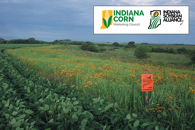 252a767d-f5ac-4c24-865f-aa1767eb6979