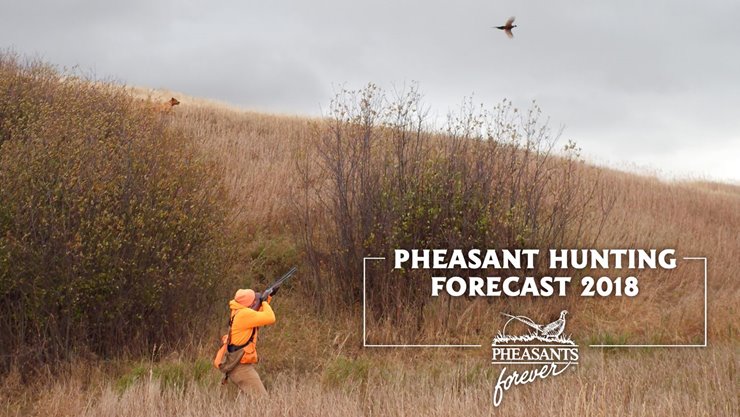 2570a027-a01a-4f9f-ac6d-e360d2a8d310