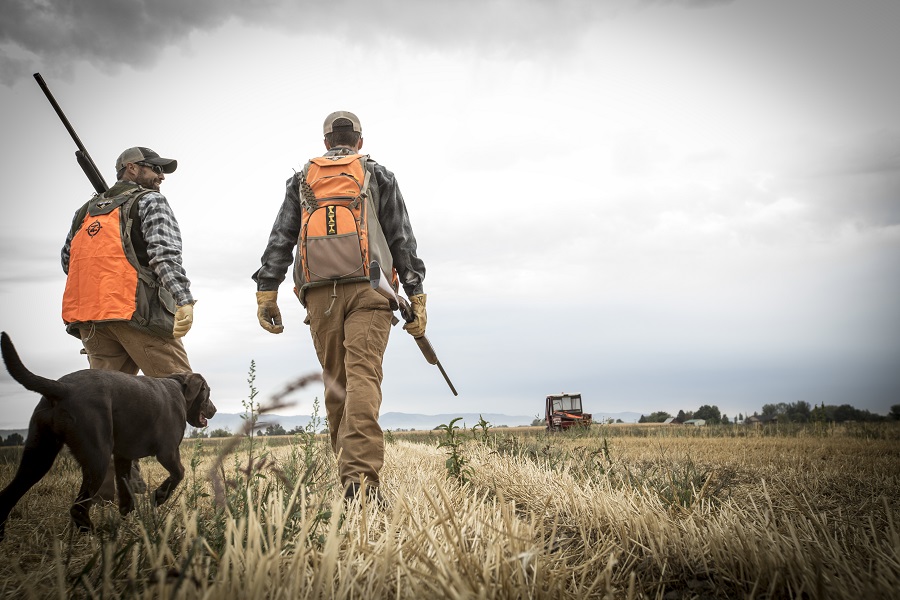 Upland bird hunting on sale jacket