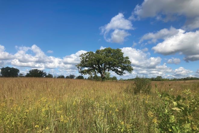 2e615ac7-5b2f-4d3c-af8e-d7886ea54327