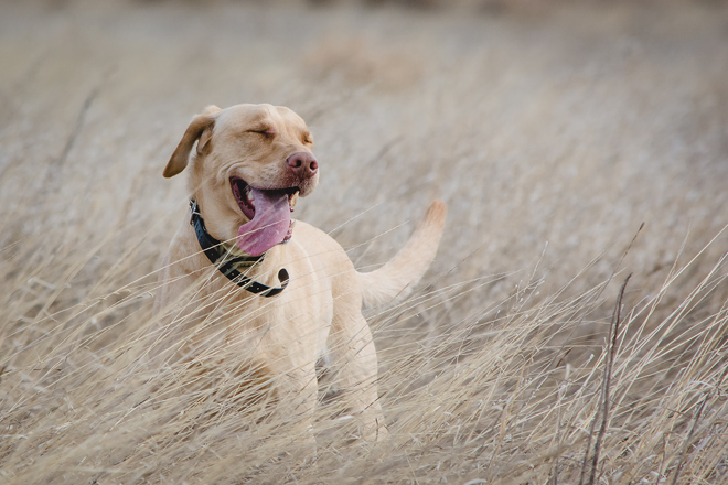 2f18d86e-1a5d-44ba-862c-3b20e9e269b2