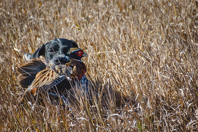 319c399e-03c0-4cb6-9669-2d31538e6d90