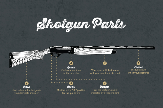 What are the basic Parts of a Shotgun Shell?