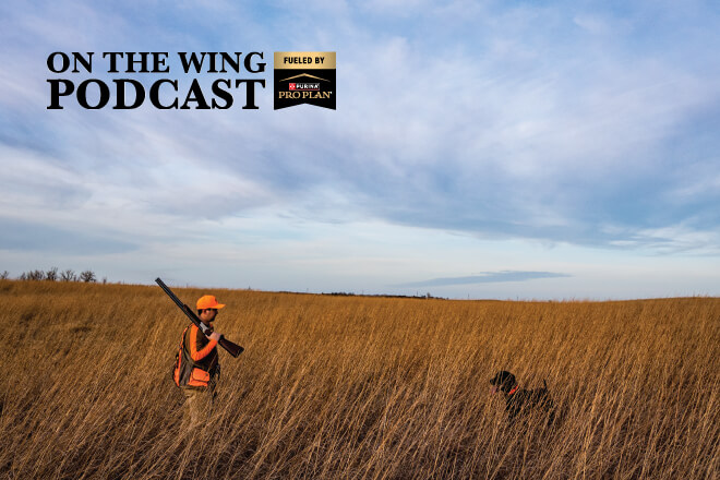 3382868b-7f7b-4e65-a4e8-4dfc02f0b409