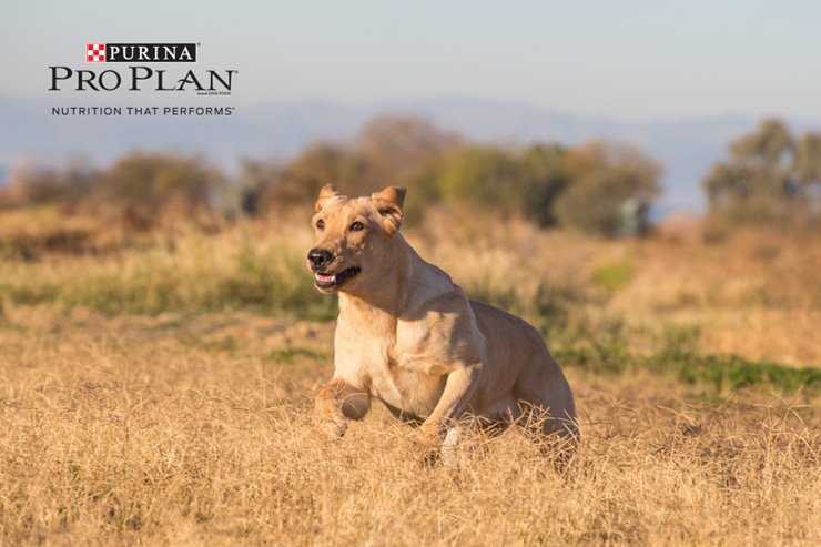 3462d6c0-4e9c-42ff-b389-47d40dcbd2e7