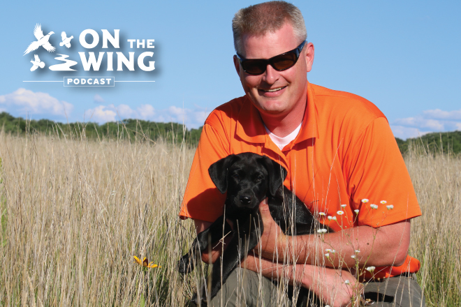 34faec36-76e6-4863-925f-37cfae3433e6