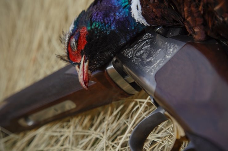 3933c403-b34b-4ba2-92a8-10b3c11b4285