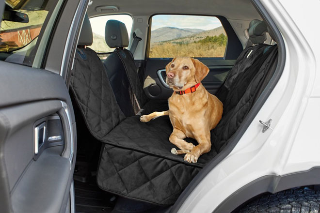 From Home to the Open Road Your bird dog can lounge and travel in style with these products from Orvis