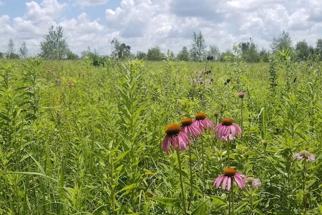 3f7cb461-850a-49a4-9004-442d0fca43ae