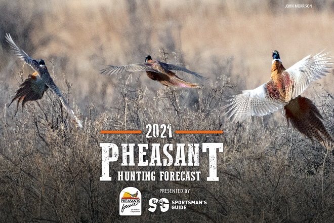 Create the Ultimate Back 40 for Pheasants