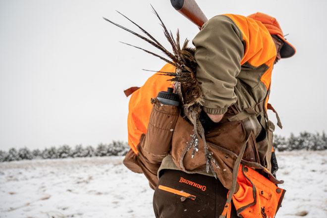 4350c1dd-310e-4398-8c61-11eadc49d5b8