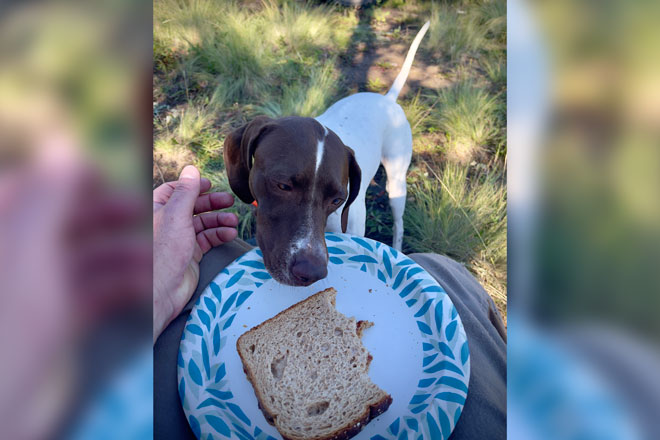 44750d8c-d03e-4544-a42d-d04fca9a959a