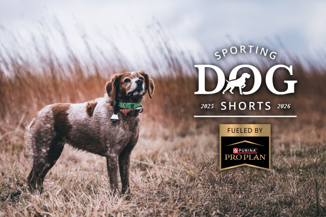 45cf29ec-dcb4-4985-aad3-b41f162d9257