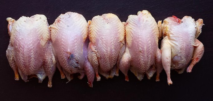 An example of four dry plucked birds and one wet plucked bird