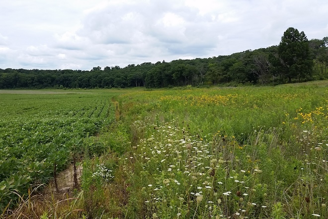 4911184d-c6d1-4626-8faf-8dbfba990288