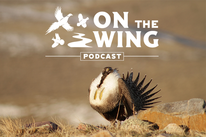 Podcast Ep. #39: Minnesota Vikings Head Coach Mike Zimmer