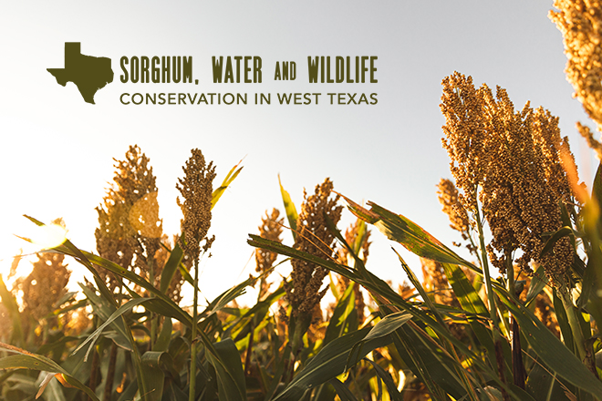 4ab2c6ea-8a72-4941-87f7-0ec5794fd00e