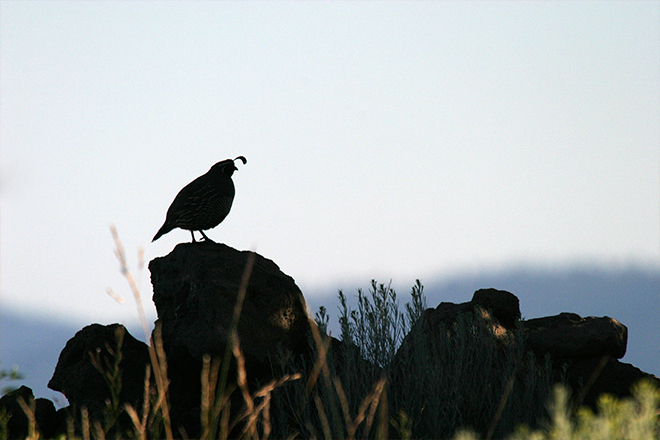 4dbc0988-35c3-4fe3-8a12-59abbe21a11e