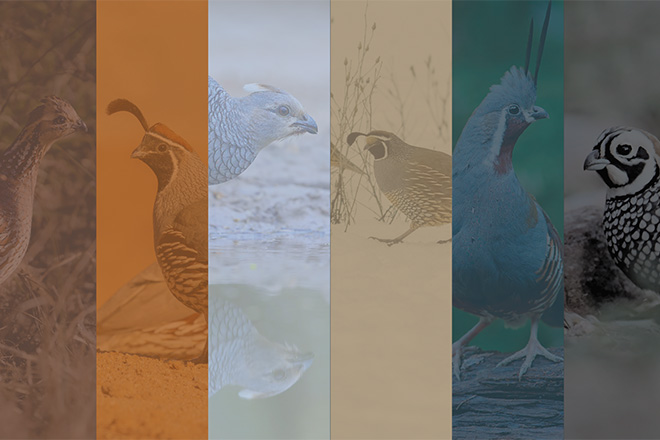 4e056bf6-aba8-4dbb-90a7-9e37b19ea8de