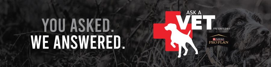 Purina - Pro Plan - Ask a Vet banner