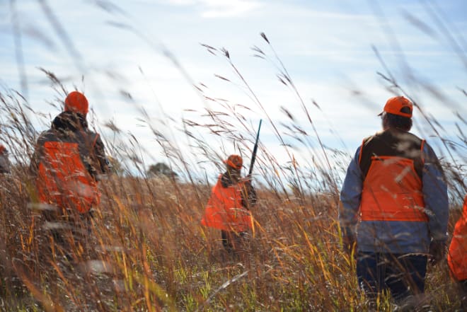 53ef2715-6e07-40f5-84b7-52081e3759c2