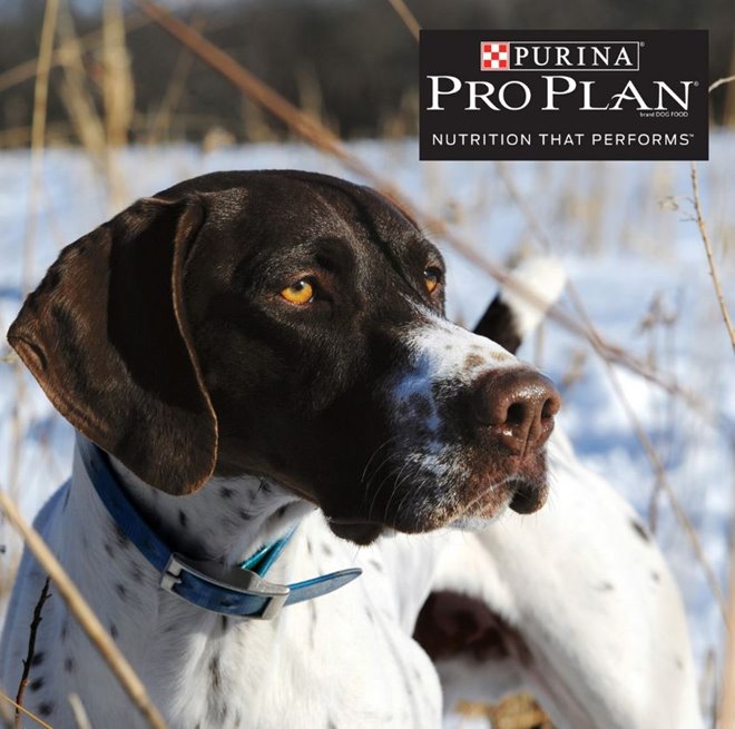 58579ff09e76484281e0da67dd385cd4