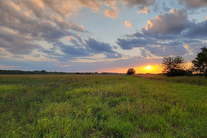 6384c85a-1f9c-4530-a0d1-d3412b574bd6